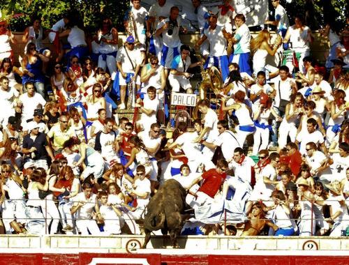 toro volador de tafalla